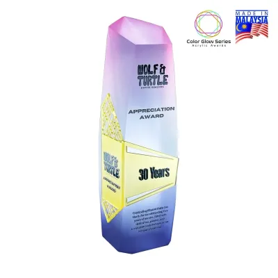Frost Color Glow Acrylic Award 1050