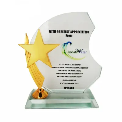 Exclusive Crystal Star Plaque 3026