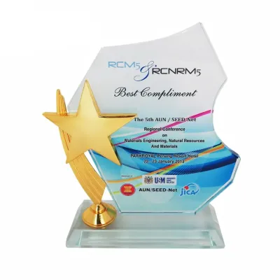 Exclusive Crystal Star Plaque 3028