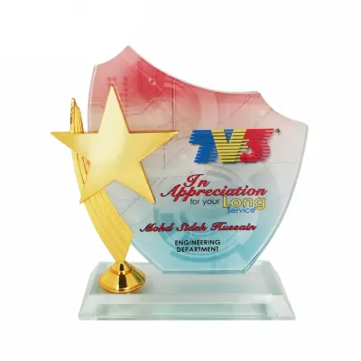 Exclusive Crystal Star Plaque 3032