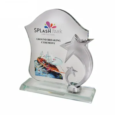 Exclusive Crystal Star Plaque 3055