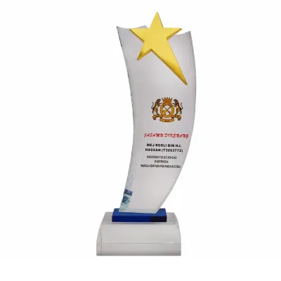 Exclusive Crystal Star Plaque 3082