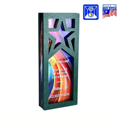 Premium 3D Printed Award 3D19
