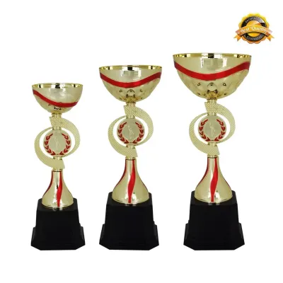 Metal Bowl Trophy 4009