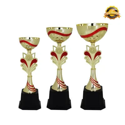 Metal Bowl Trophy 4020