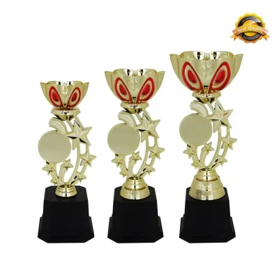 Metal Bowl & Star Trophy 4024