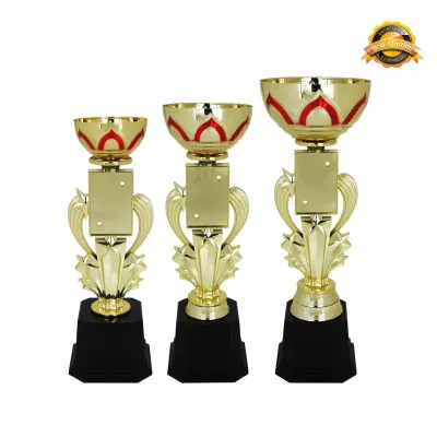 Metal Bowl & Star Trophy 4033