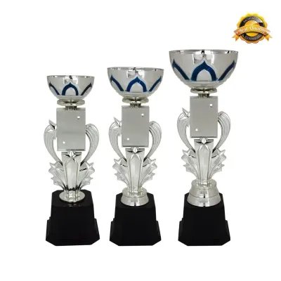 Metal Bowl & Star Trophy 4034