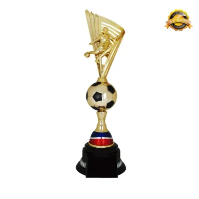 Football Trophy 4221