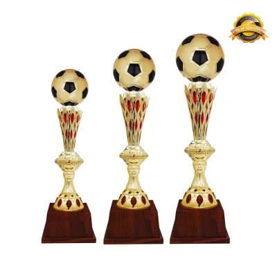 Football Trophy 4225