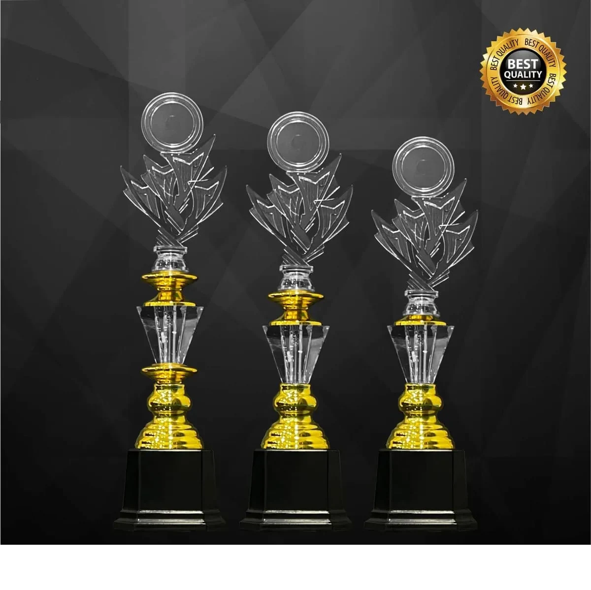Acrylic Trophy 4348