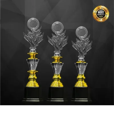 Acrylic Trophy 4348