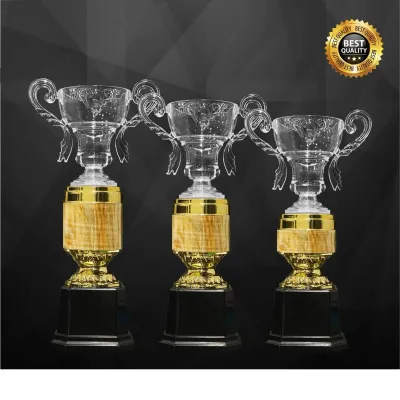 Acrylic Trophy 4353