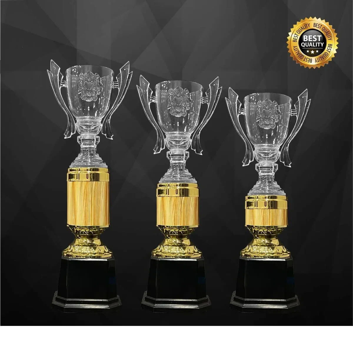 Acrylic Trophy 4356