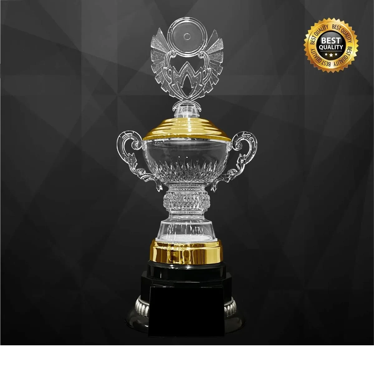 Acrylic Trophy 4359