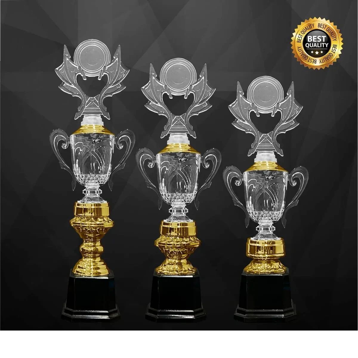 Acrylic Trophy 4361