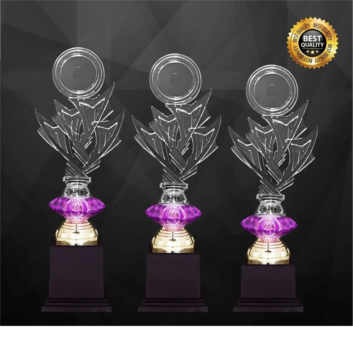 Acrylic Trophy 4366