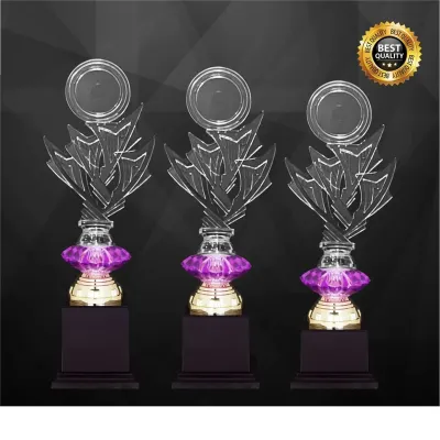 Acrylic Trophy 4366