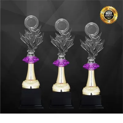Acrylic Trophy 4367