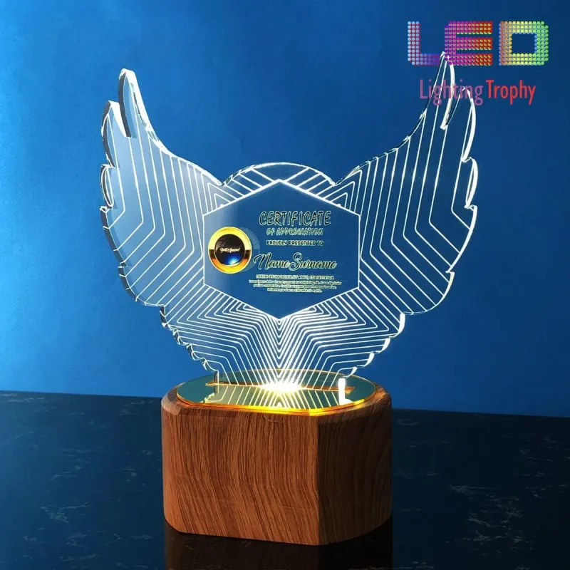 LED Acrylic Lighting Trophy 5054 product image
