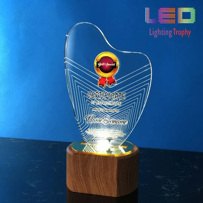 LED Acrylic Lighting Trophy 5055 product image