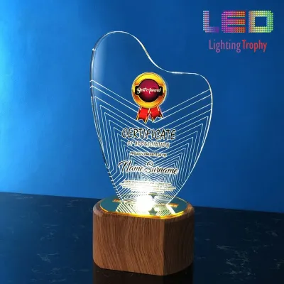 LED Acrylic Lighting Trophy 5055