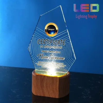 LED Acrylic Lighting Trophy 5056