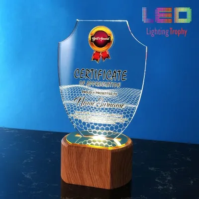 LED Acrylic Lighting Trophy 5057