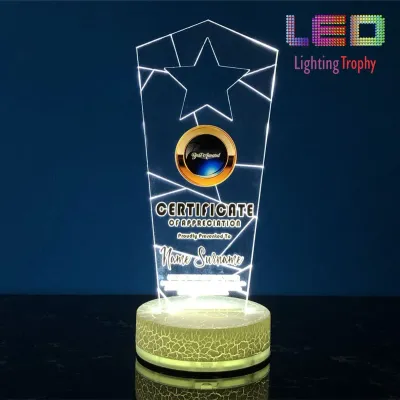 LED Acrylic Lighting Trophy 5061