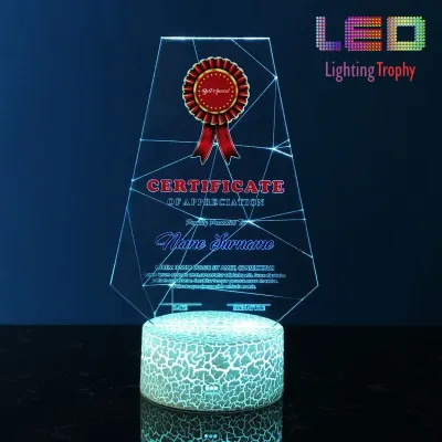 LED Acrylic Lighting Trophy 5071