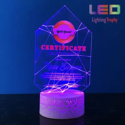 LED Acrylic Lighting Trophy 5073