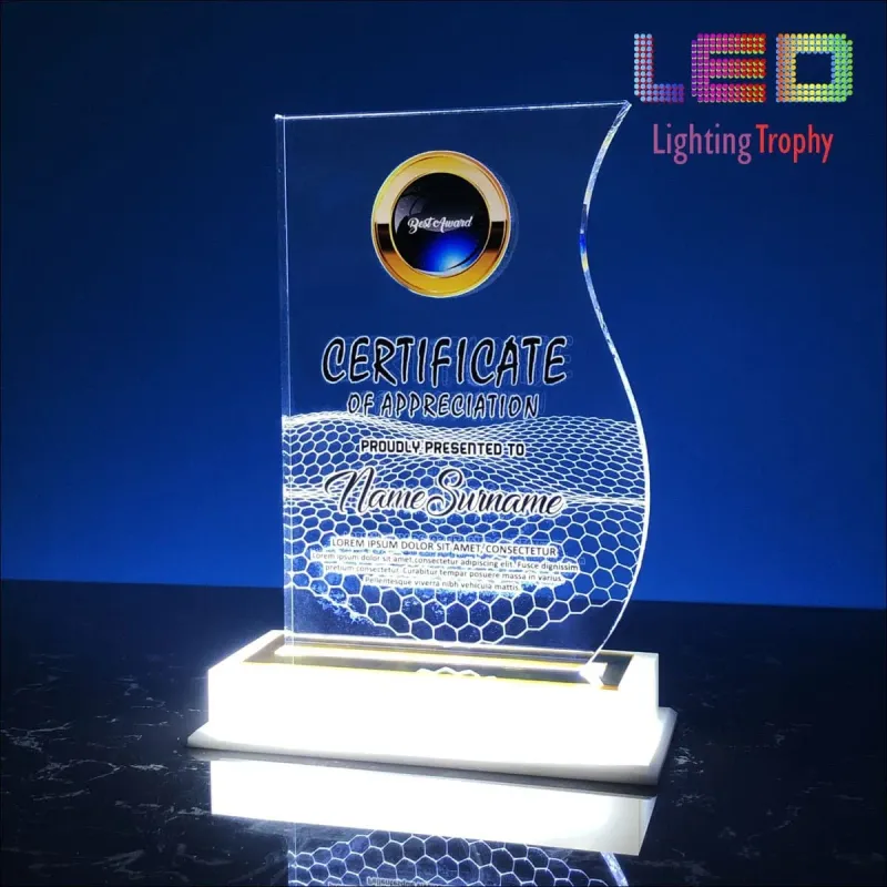 LED Acrylic Lighting Trophy 5080 product image