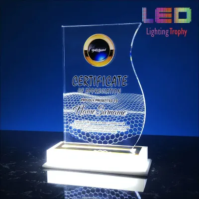 LED Acrylic Lighting Trophy 5080