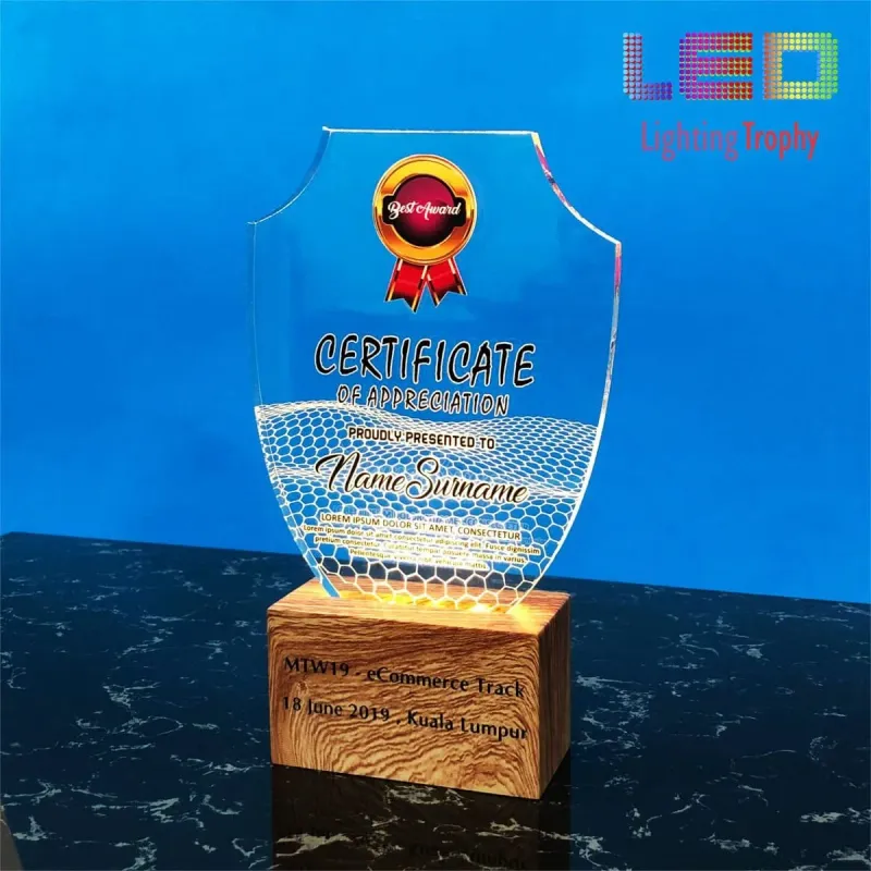 LED Acrylic Lighting Trophy 5086 product image