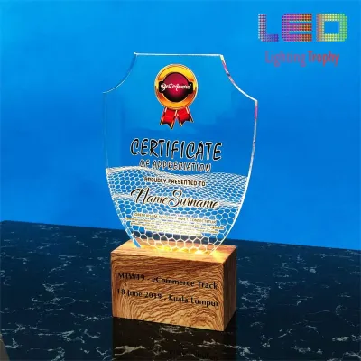 LED Acrylic Lighting Trophy 5086