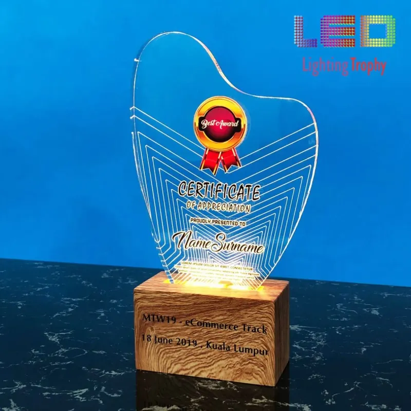 LED Acrylic Lighting Trophy 5087 product image