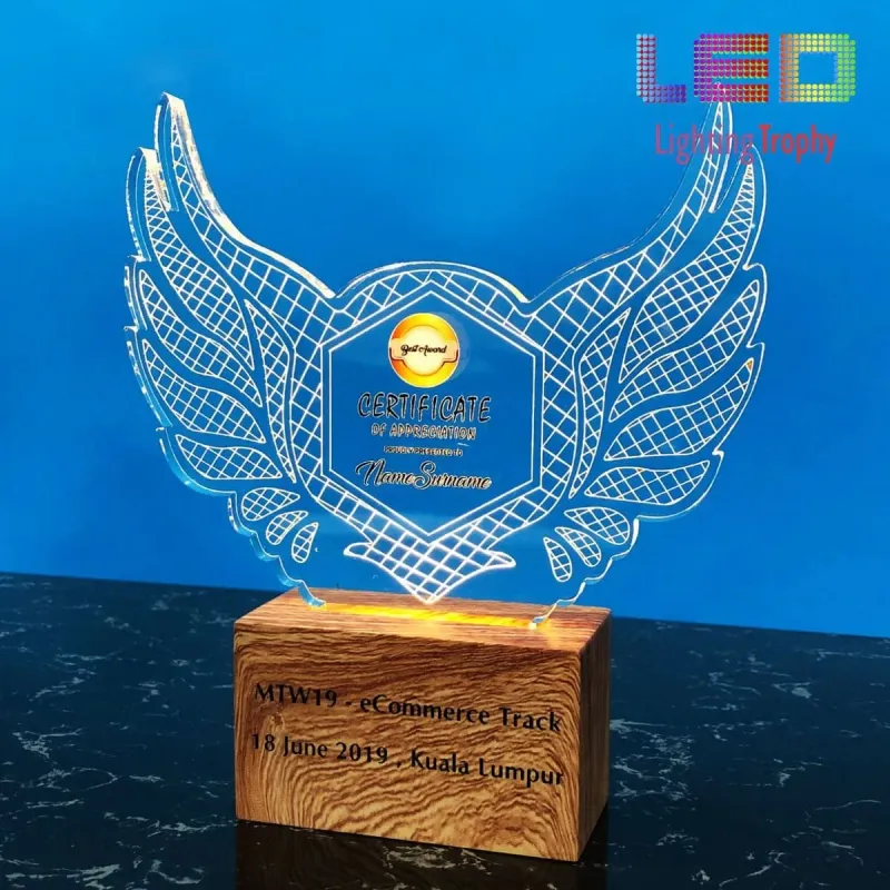 LED Acrylic Lighting Trophy 5088 product image