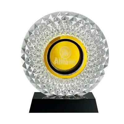 Innovative Design Acrylic Plaques 5147