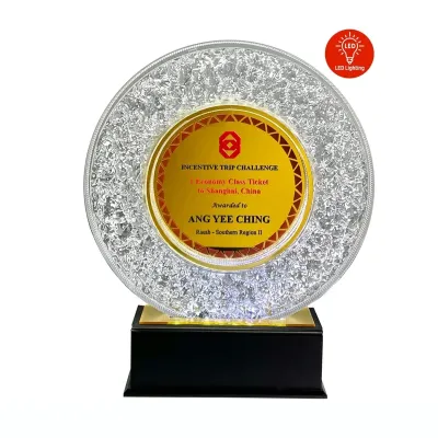 Innovative Design Acrylic Plaques 5150