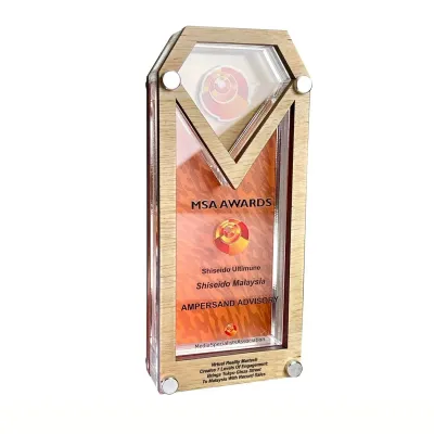 Innovative Design Acrylic Plaques 5156