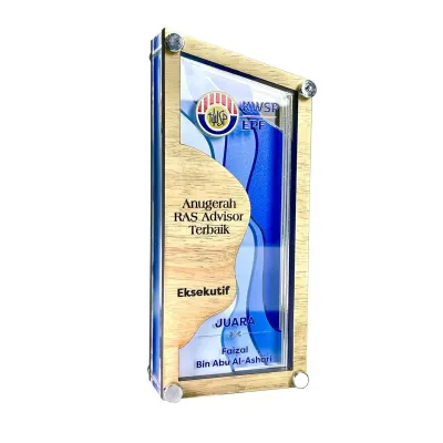 Innovative Design Acrylic Plaques 5159