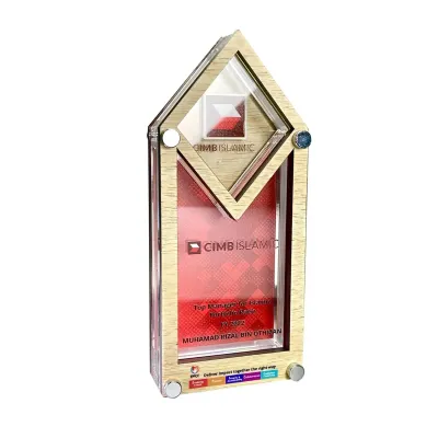 Innovative Design Acrylic Plaques 5160