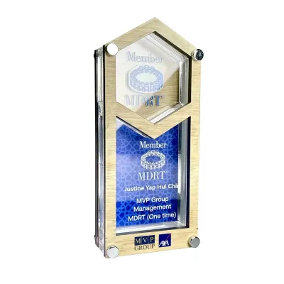 Innovative Design Acrylic Plaques 5162