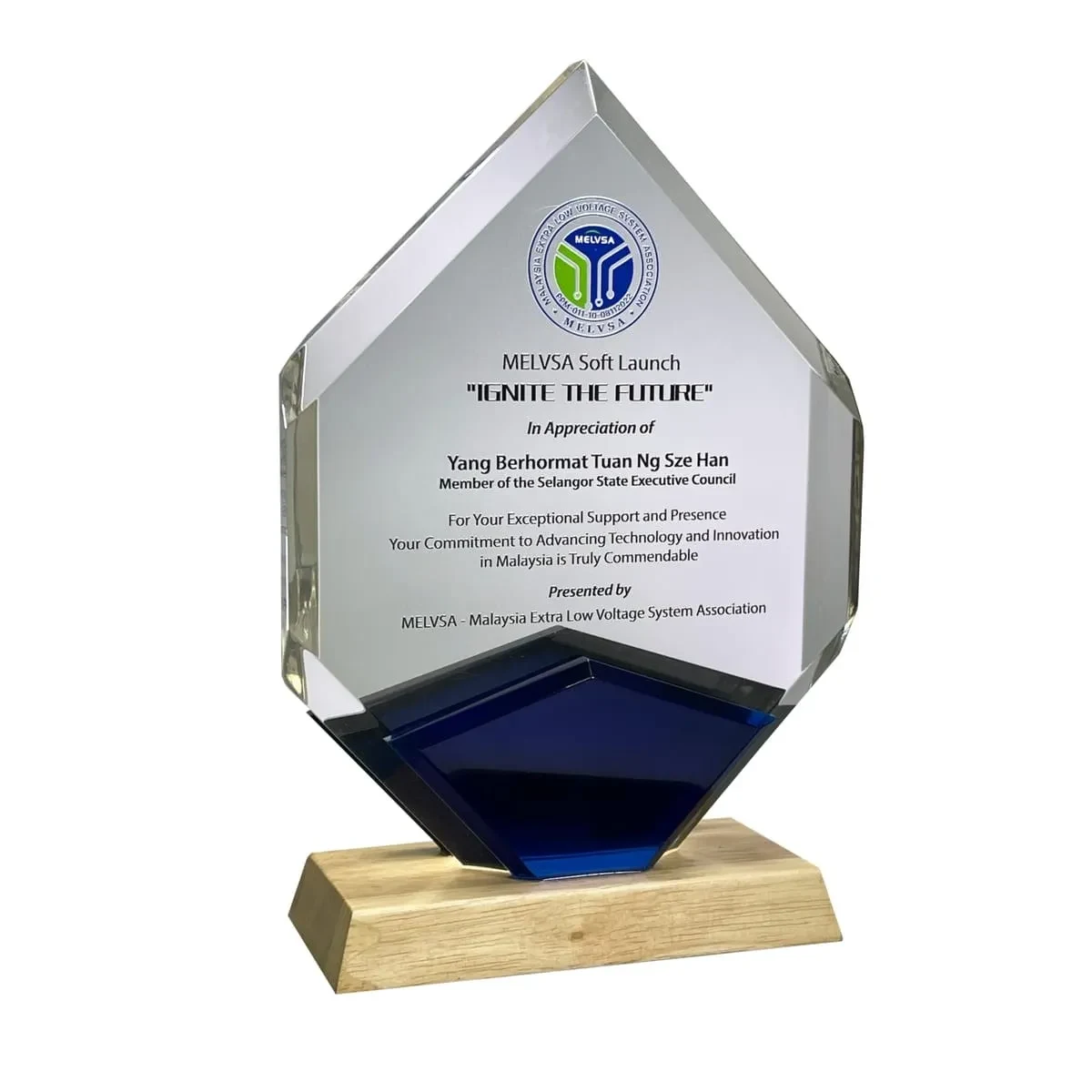 Innovative Design Acrylic Plaque 5164