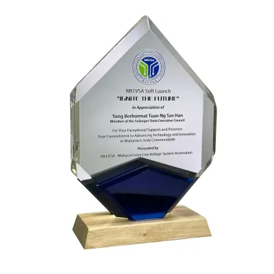 Innovative Design Acrylic Plaque 5164