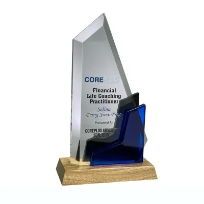 Innovative Design Acrylic Plaque 5166