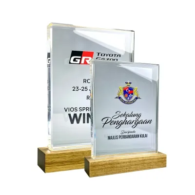 Innovative Design Acrylic Plaque 5168