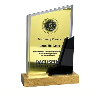 Innovative Design Acrylic Plaque 5169