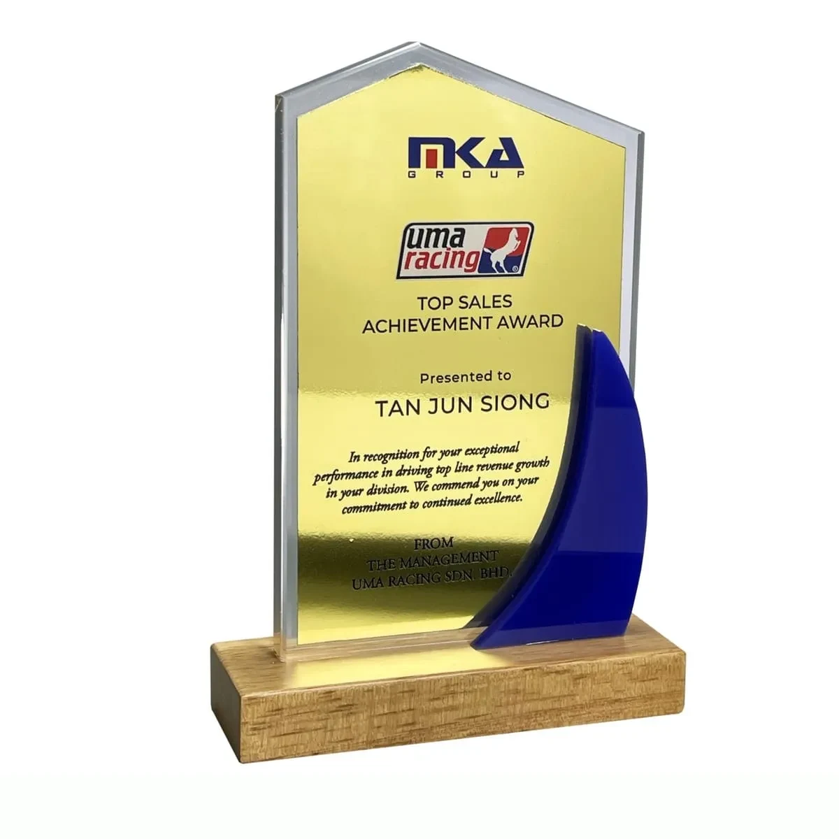 Innovative Design Acrylic Plaque 5171