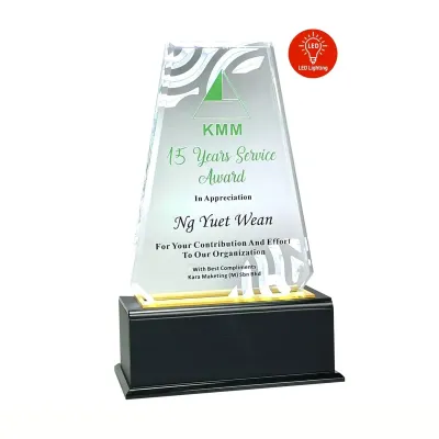 LED Lighting Innovative Design Acrylic Plaque 5172